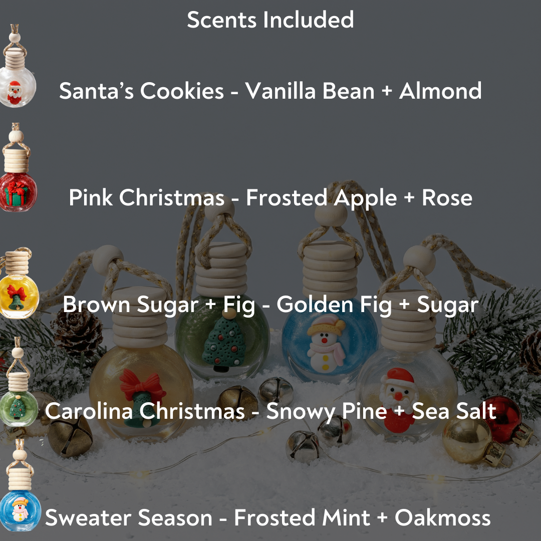 Shimmer Snow Globe Car Diffuser 5 Pack