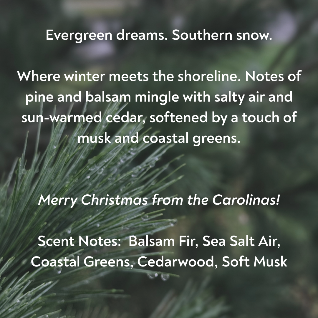 Carolina Christmas Pine Snow Globe Car Diffuser